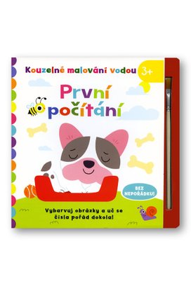 První počítání