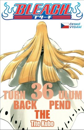 Bleach 36