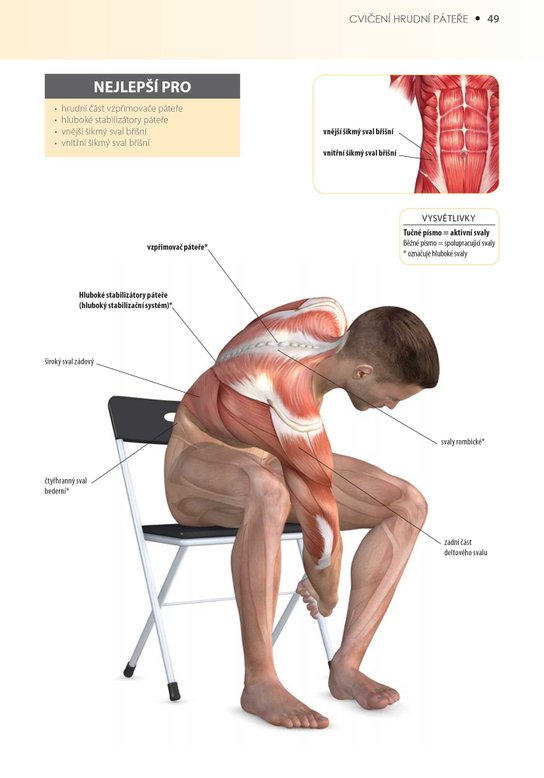 Cvičení pro zdravá záda - anatomie