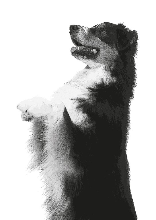 Dusty: Vrať se domů!
