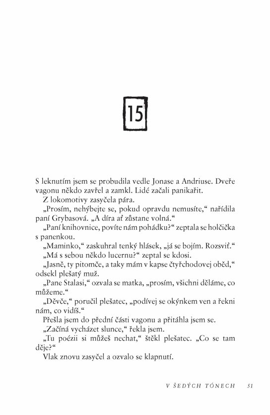 V šedých tónech (brož.)