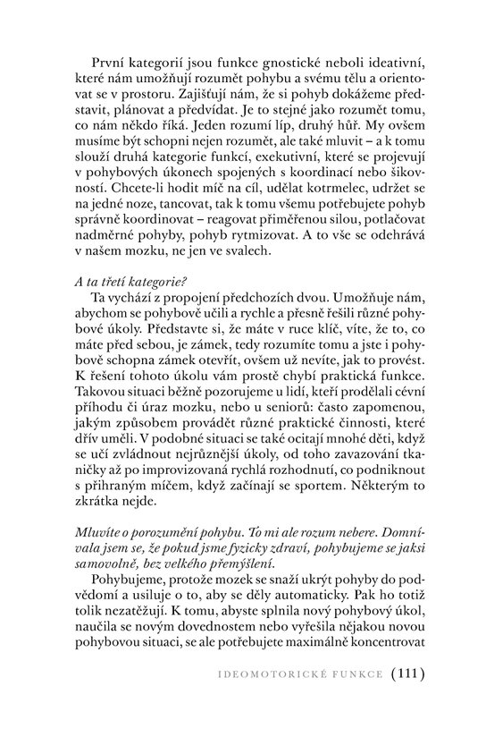 Labyrint pohybu