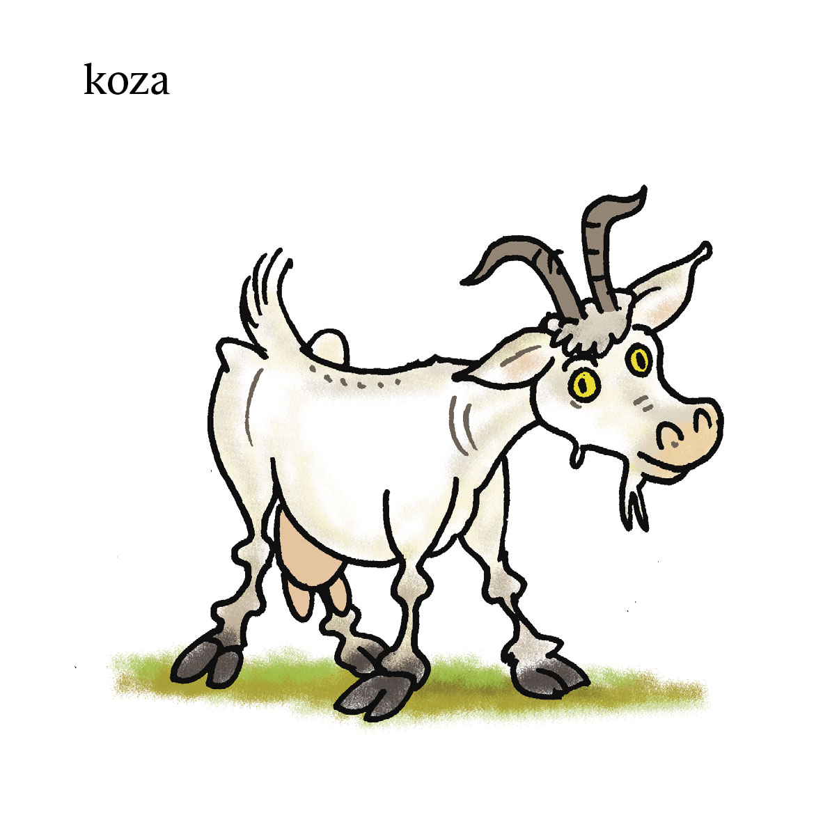 Moje první slova – ZVÍŘÁTKA 