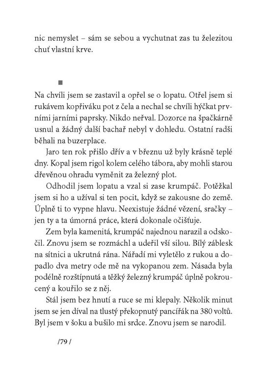 Lustr pro papeže
