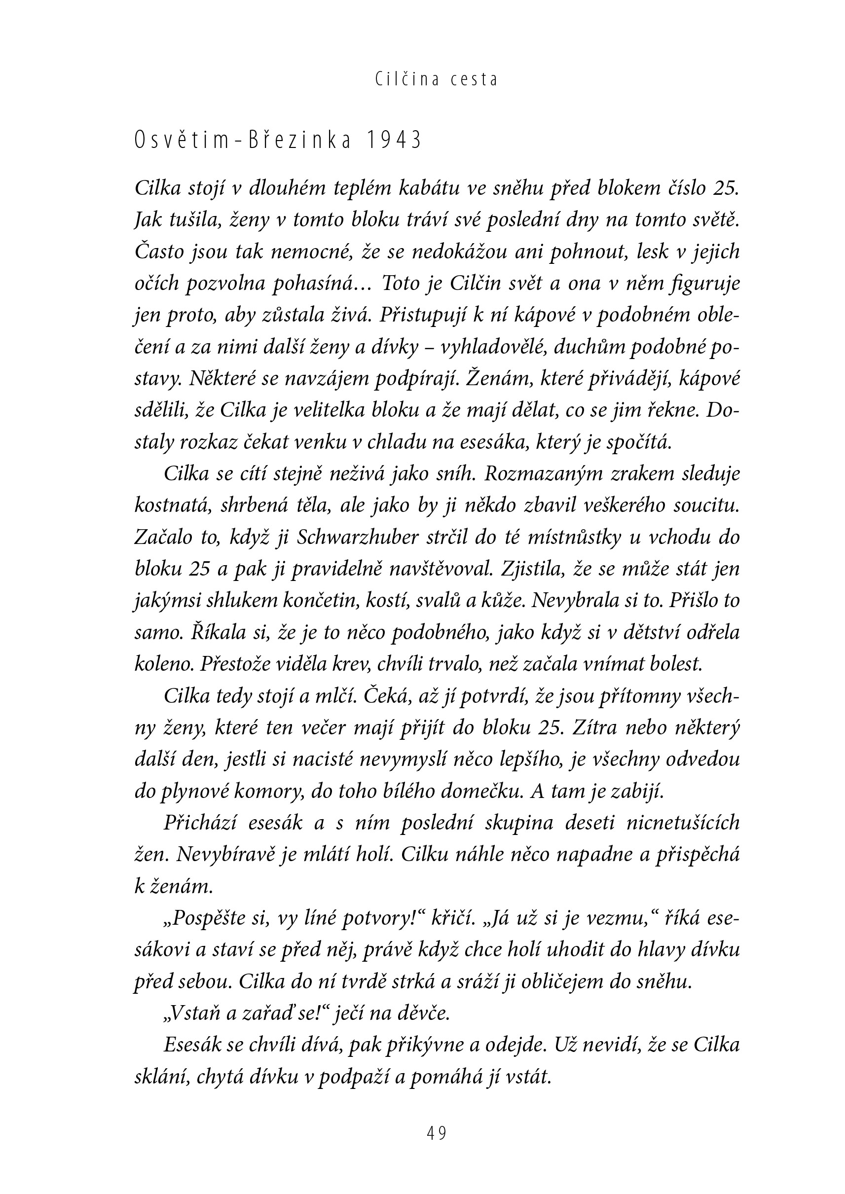 Tatér z Osvětimi: Cilčina cesta 