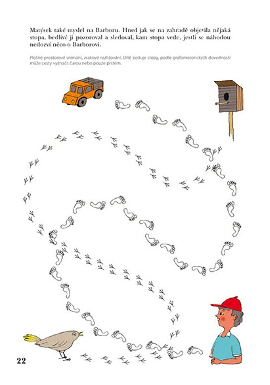 Rozvoj zrakového vnímání 
