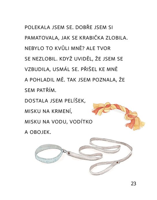 Zprávy z pelíšku 