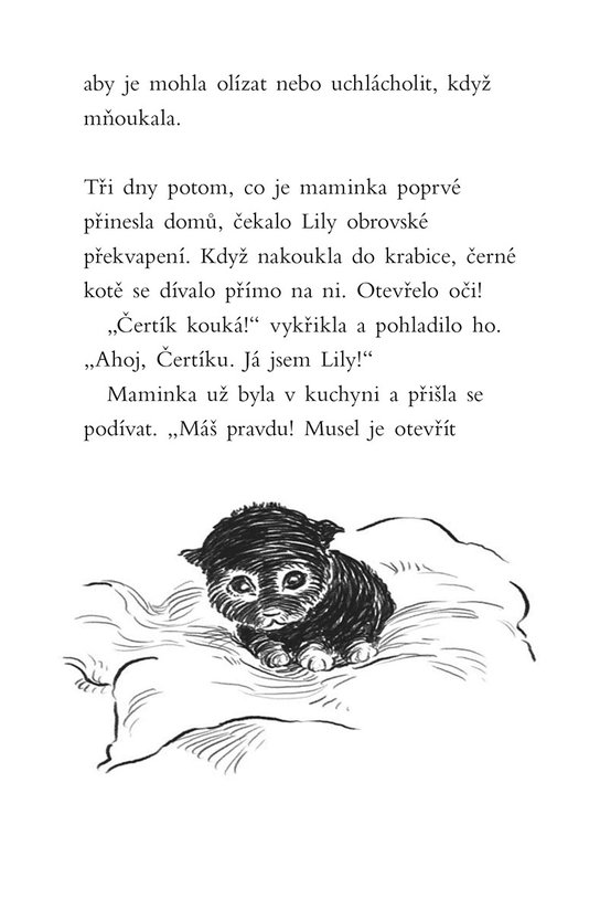 Příběhy se šťastným koncem - Našlo se koťátko!