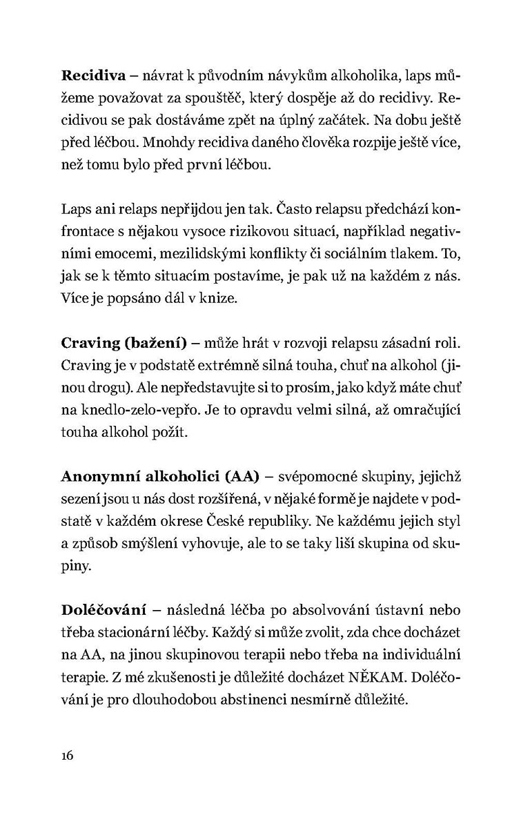 Zápisník abstinentky