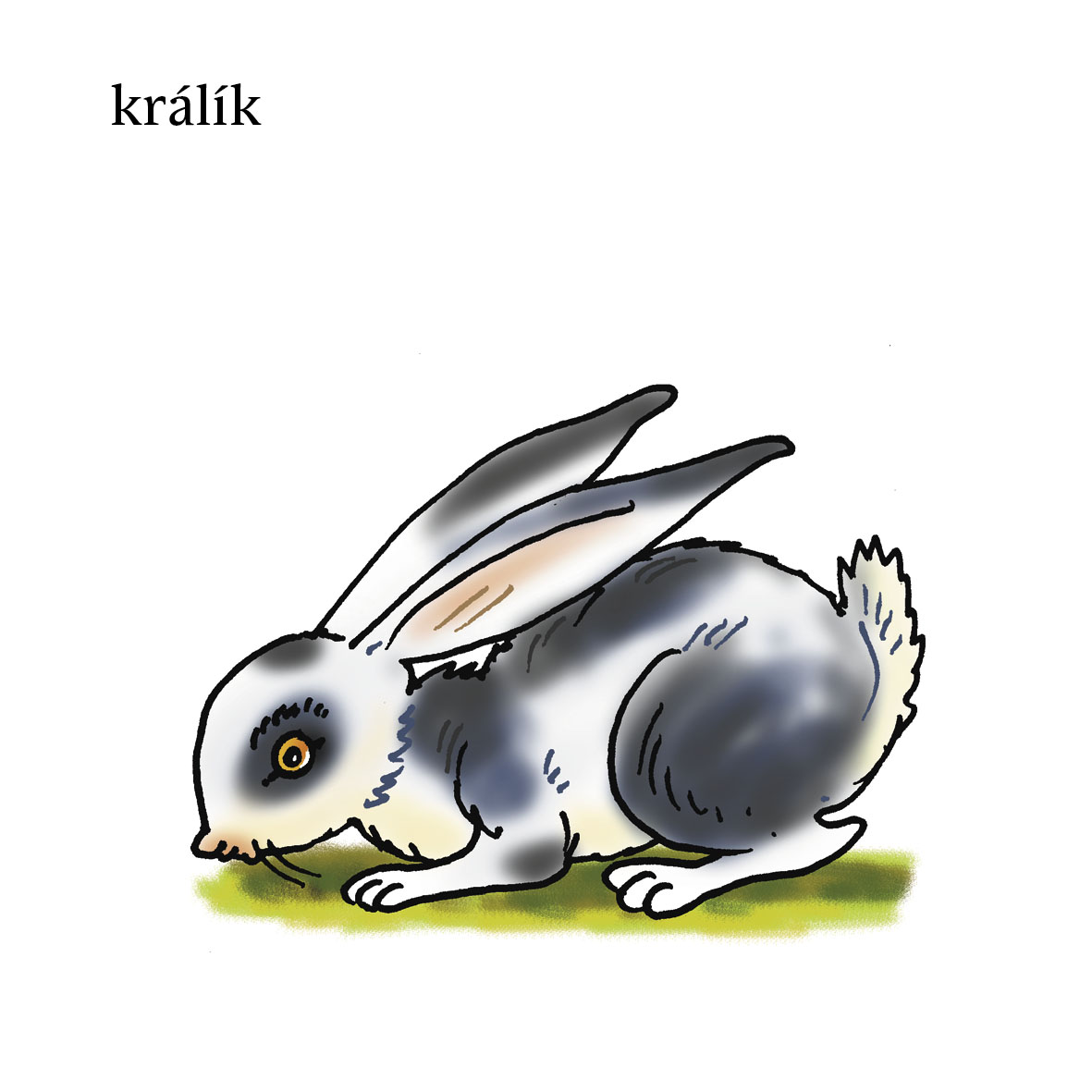Moje první slova – ZVÍŘÁTKA 