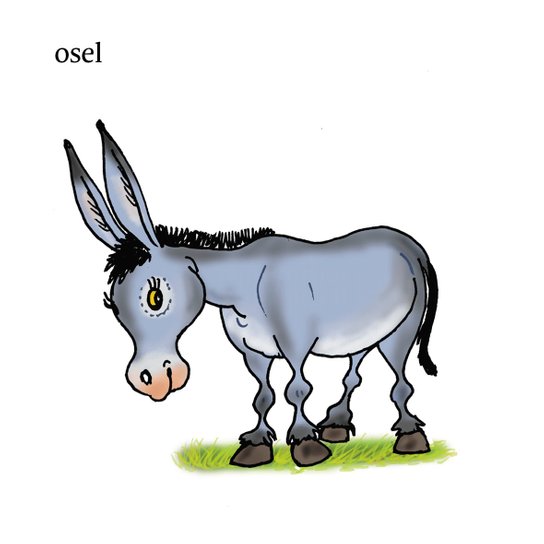 Moje první slova – ZVÍŘÁTKA 