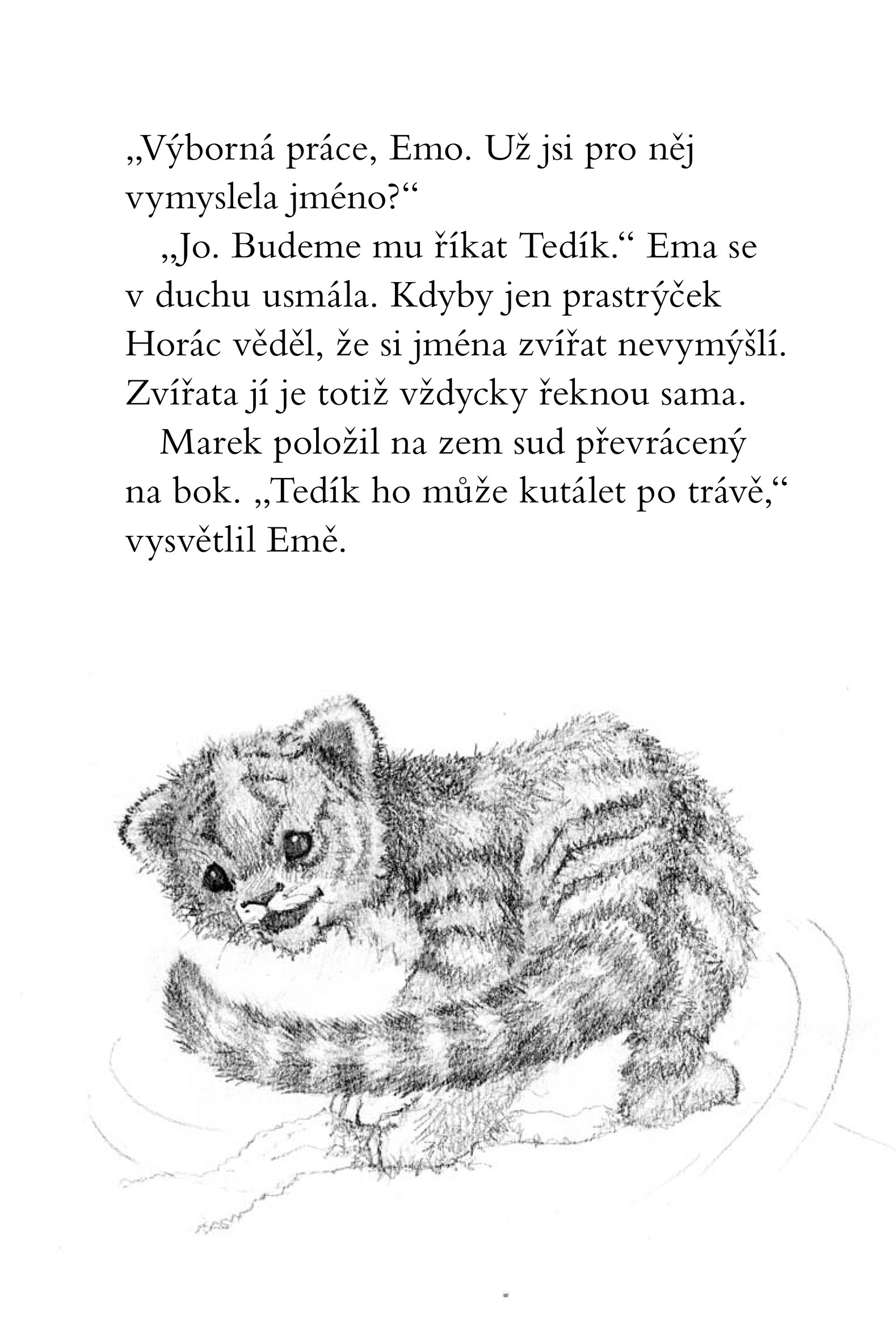 Ema a její kouzelná zoo - Upovídaný tygřík