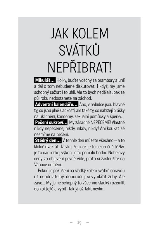 Deník tlustý kočičandy
