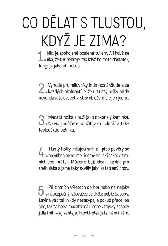 Deník tlustý kočičandy
