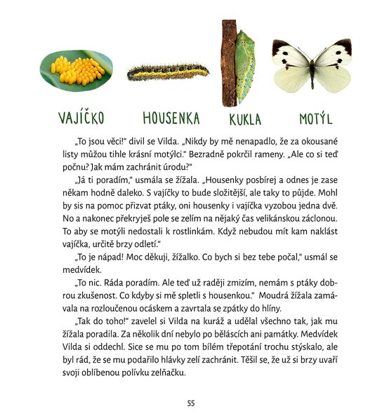 Medvídek Vilda se raduje