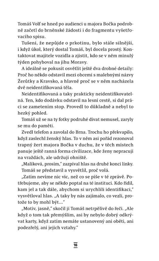 Mimo obraz