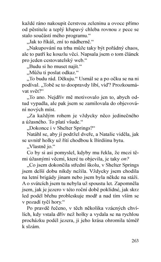 Vánoce v Shelter Inn