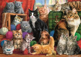 Puzzle Kočičí setkání 1000 dílků