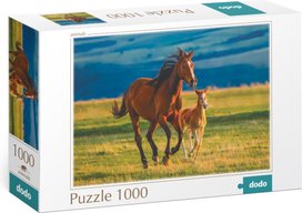 Puzzle Výchova hříběte