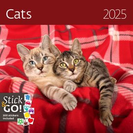 Cats 2025 - nástěnný kalendář