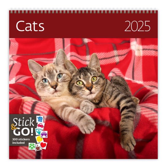 Cats 2025 - nástěnný kalendář