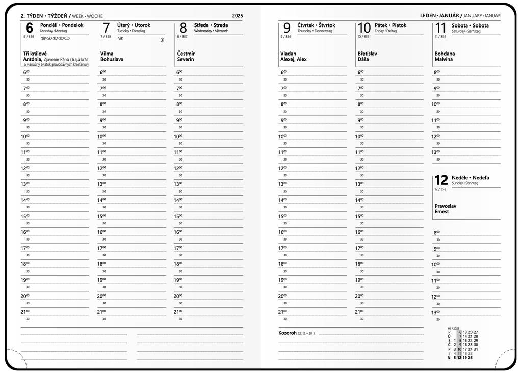Denní diář 2025 David Lamino Twin wire Tyrkys