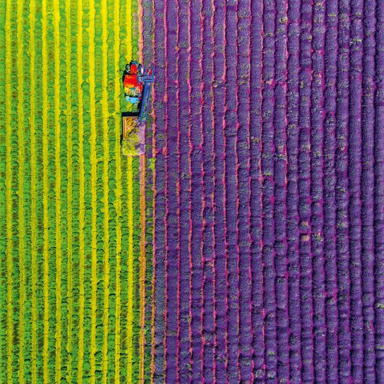 Poznámkový kalendář Provence 2025 - nástěnný kalendář
