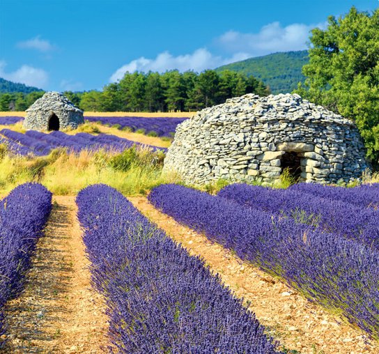 Provence vázanka 2025 - nástěnný kalendář