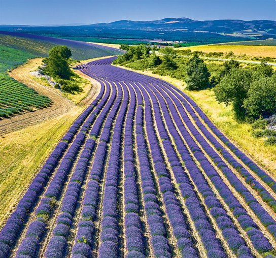 Provence vázanka 2025 - nástěnný kalendář