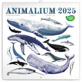 Poznámkový kalendář Animalium 2025 - nástěnný kalendář