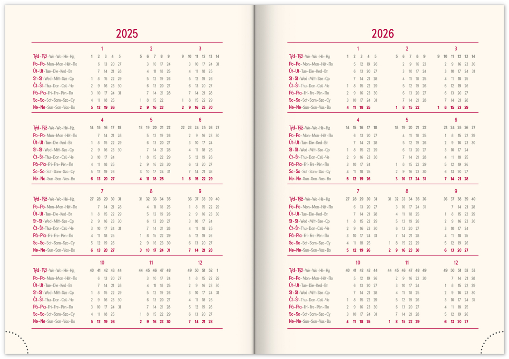 Denní diář Diario 2025 bordó