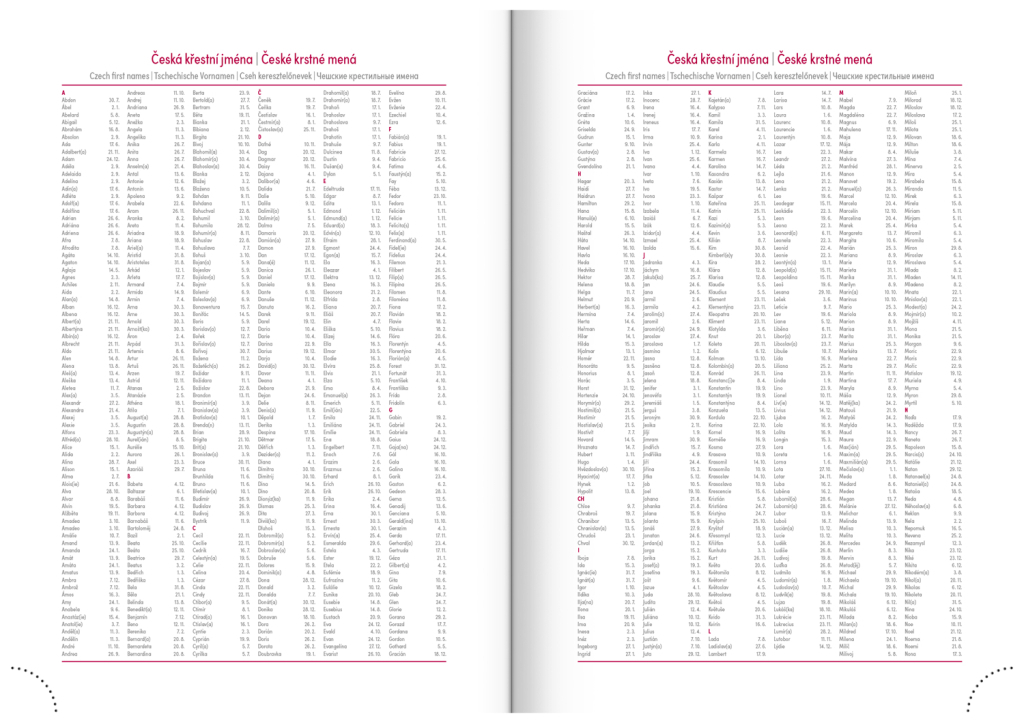 Denní diář Cambio 2025 tyrkysový