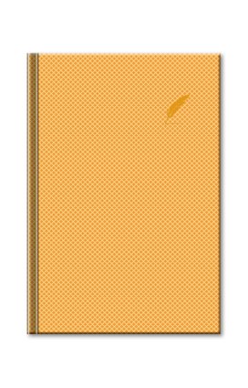 Notes Elegant zlatý