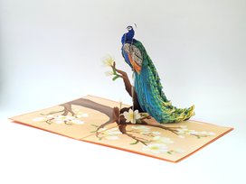 3D přání Peacock Glory