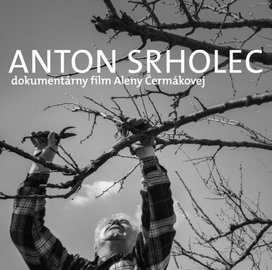 Anton Srholec Cesta, po ktorej som išiel