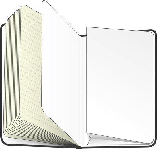 Notes Tenisky Kateřina Kynclová linkovaný