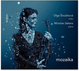 Mozaika
