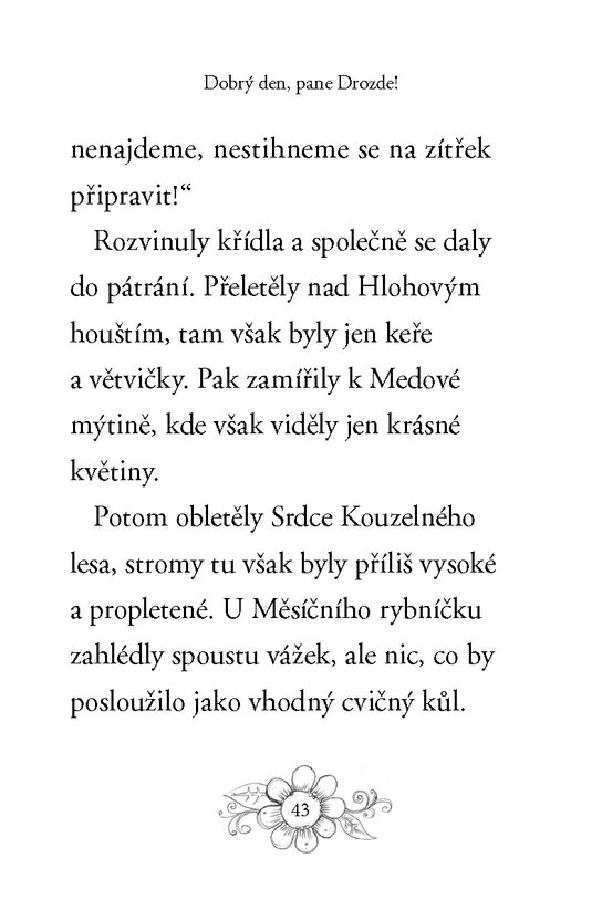 Zvířátka z Kouzelného lesa – Veverka Viki