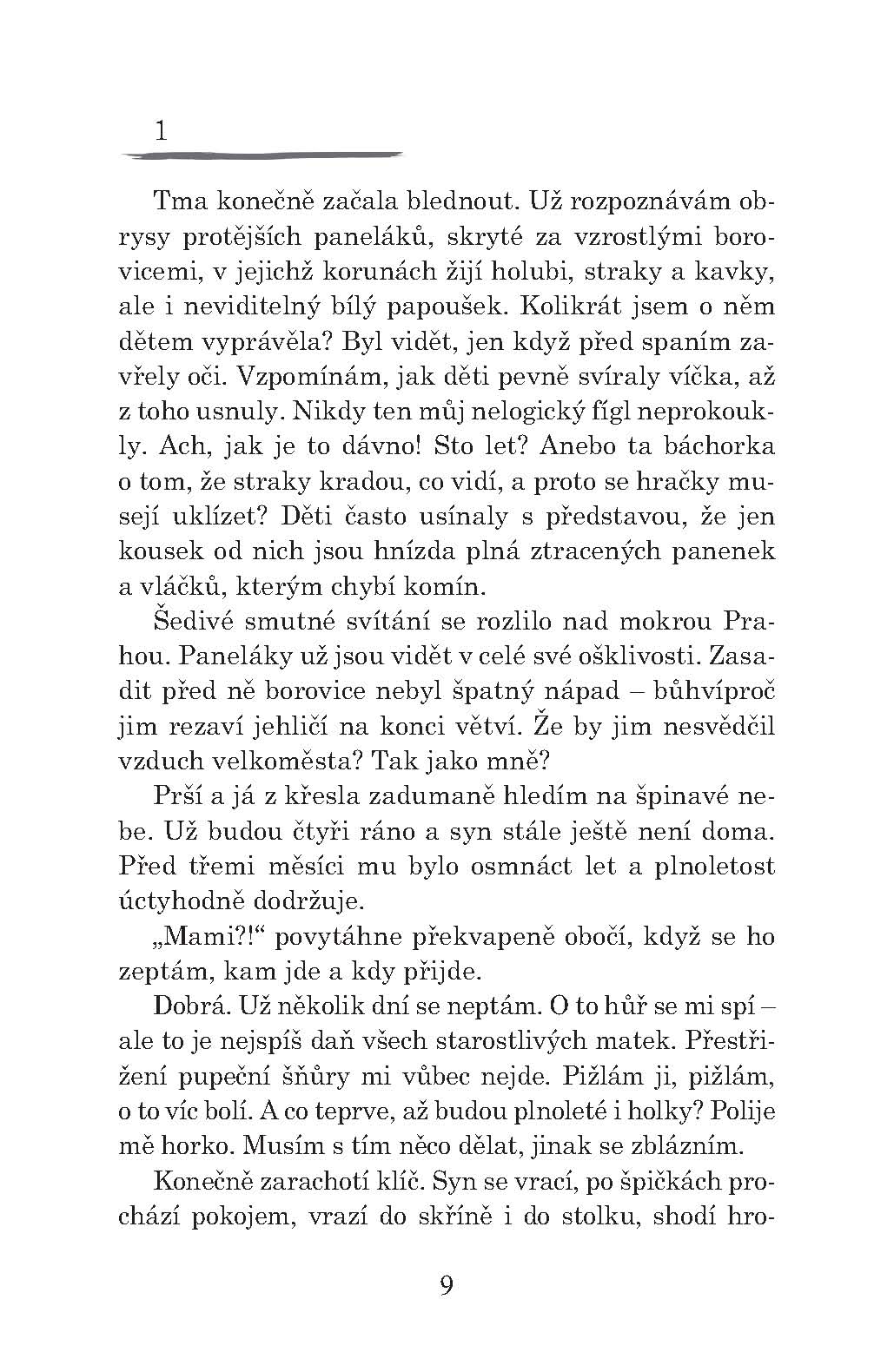 Česká služka aneb Byla jsem au-pair po dvaceti letech