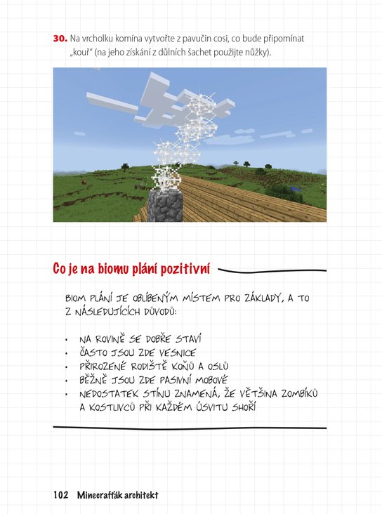 Minecrafťák architekt