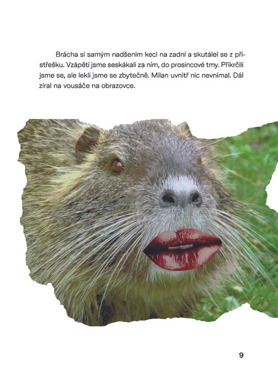 Nutrie