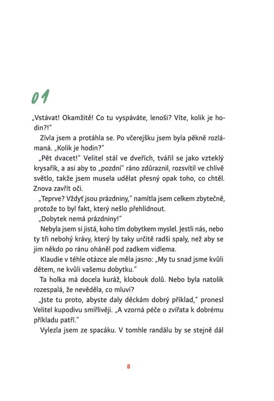 Vlajka Viktora Vaňka