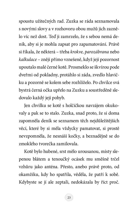 Zuzka a ztracené kotě