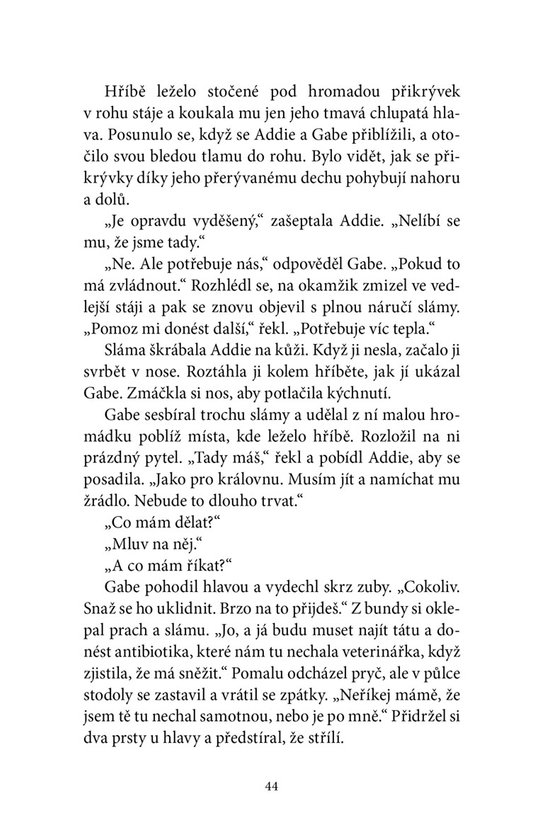 Zimní hříbě