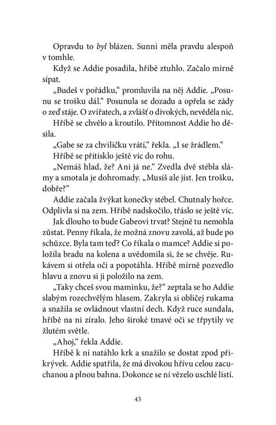 Zimní hříbě