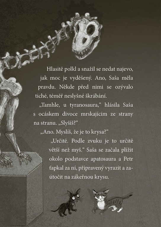 Koťata a půlnoční host