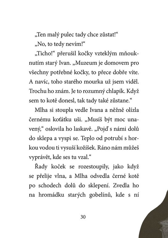 Koťata a půlnoční host