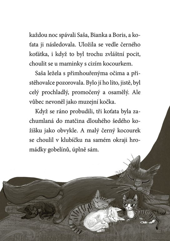 Koťata a půlnoční host