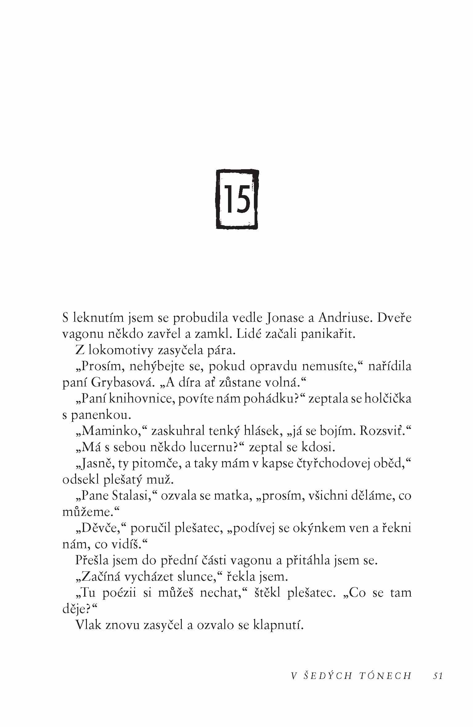 V šedých tónech (brož.)