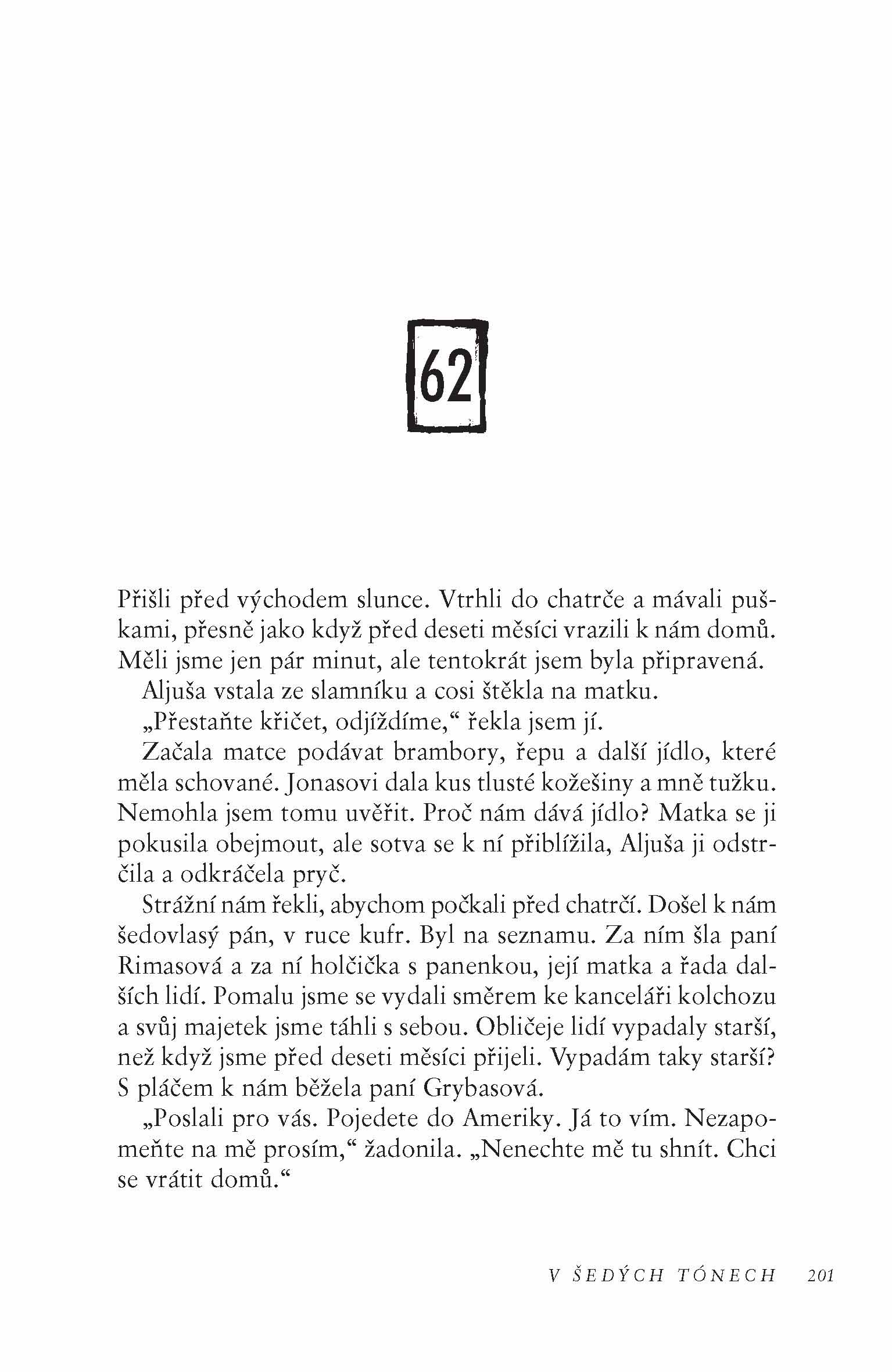 V šedých tónech (brož.)